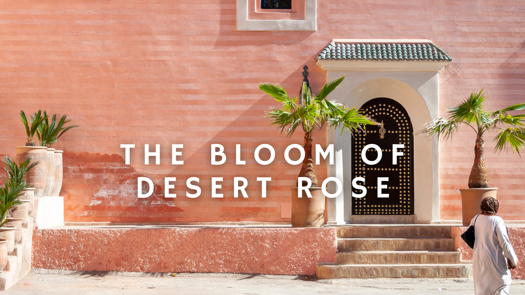 The Bloom of Desert Rose